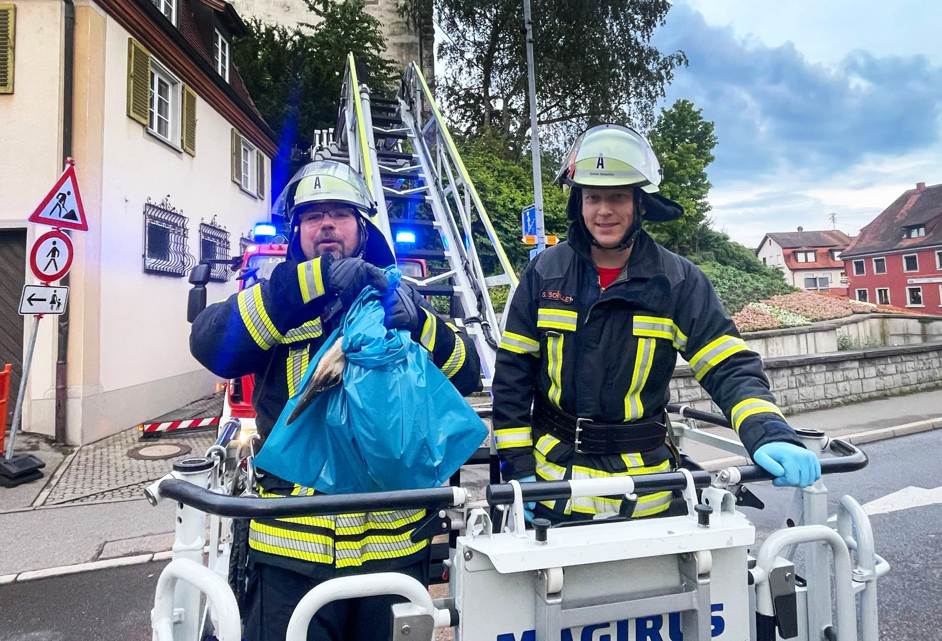 Rettung eines Jungstorchs