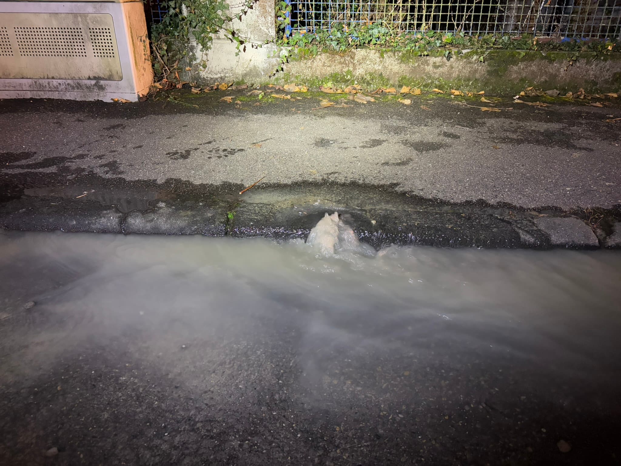 Wasserrohrbruch an Hauptleitung