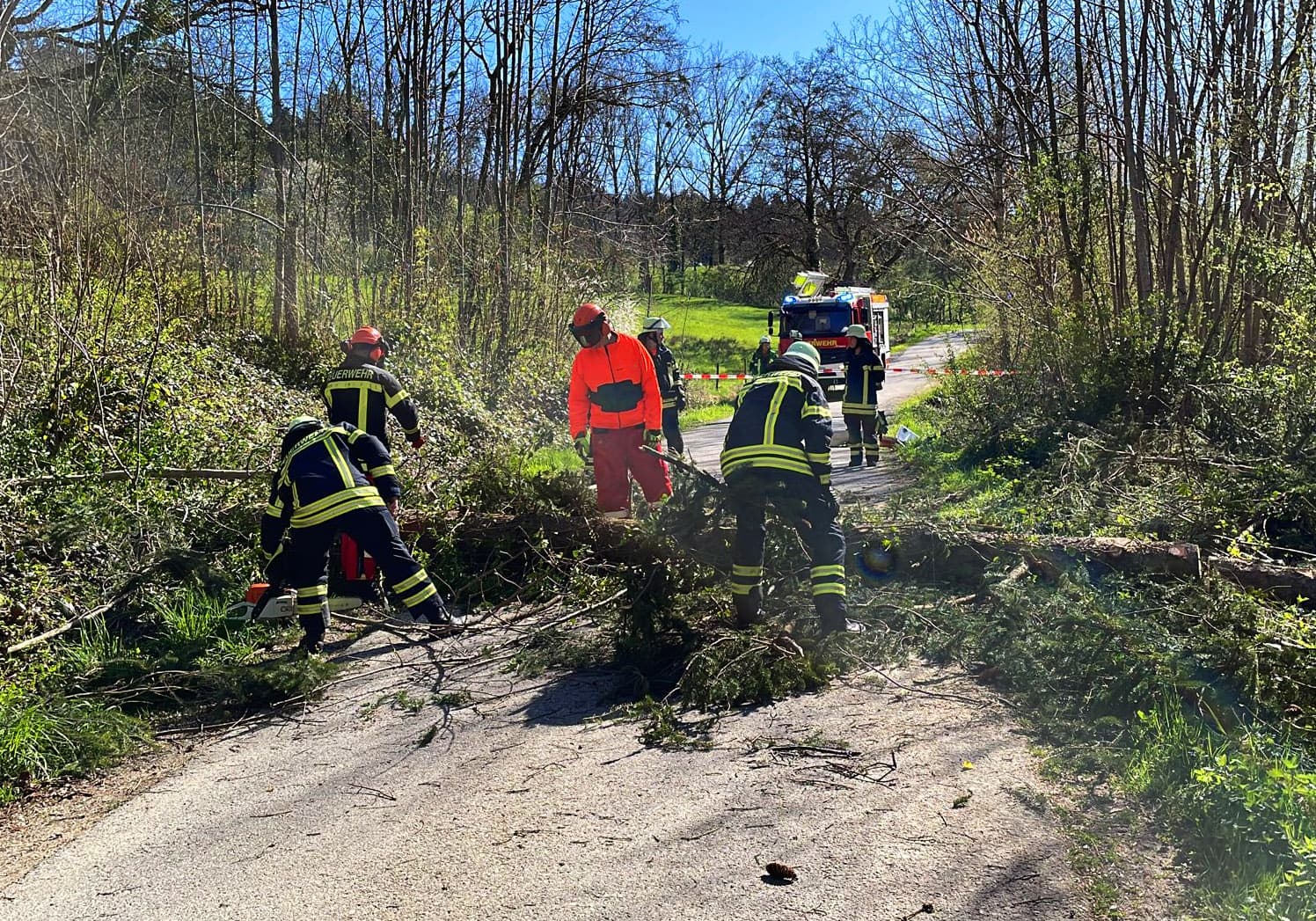 Baum über Strasse