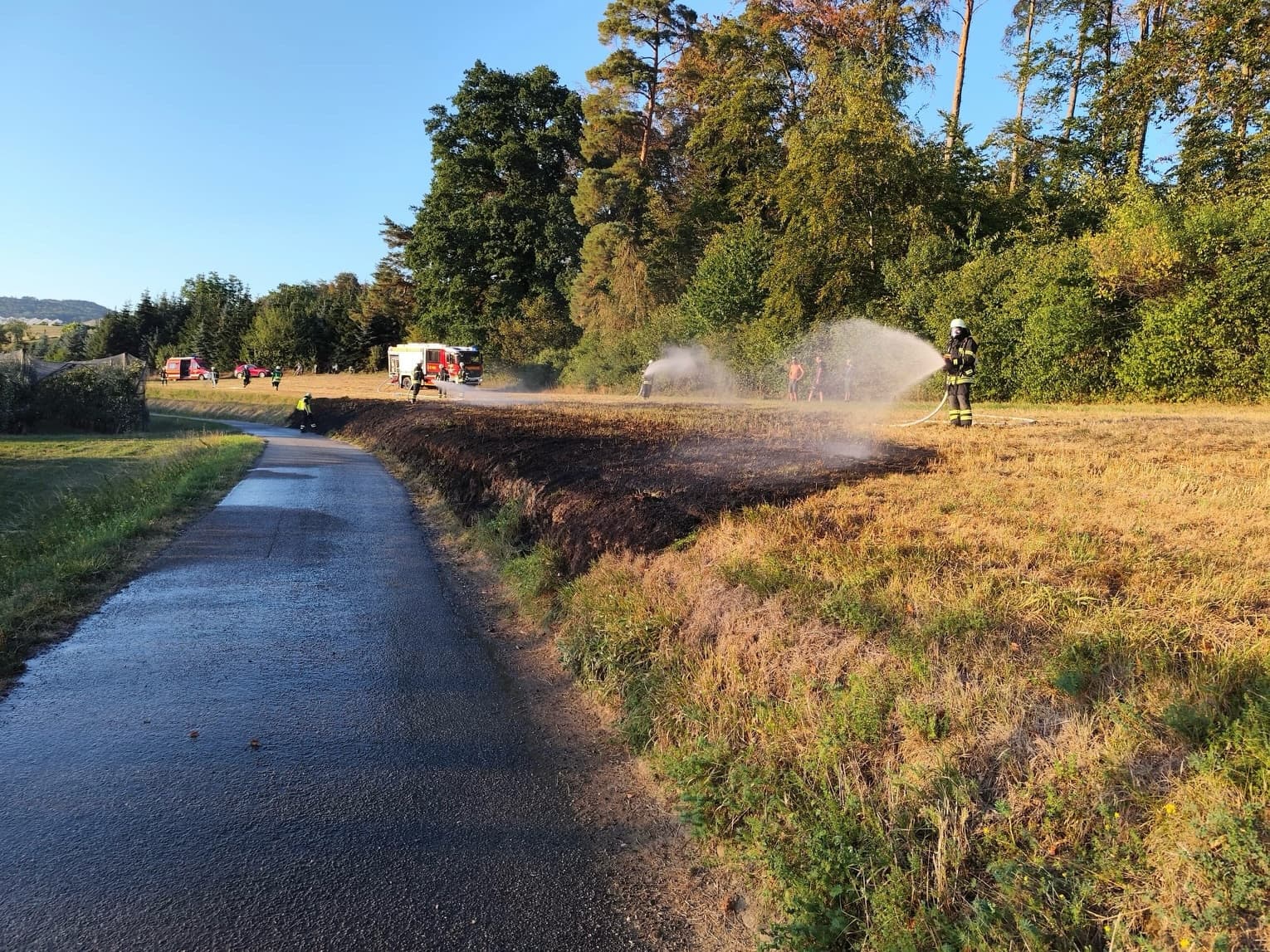 Flächenbrand